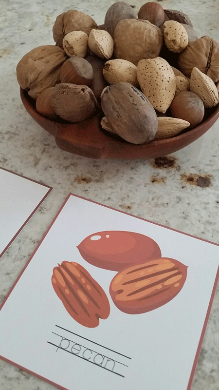 nutsorting